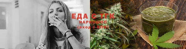 гидра Богородск