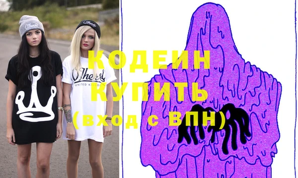 индика Бронницы