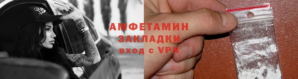 гидра Богородск