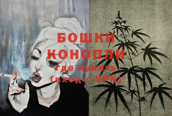 дурь Богородицк