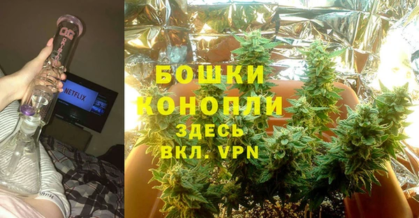дурь Богородицк