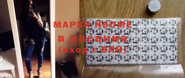 гидра Богородск