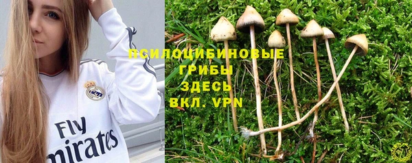 МДПВ Богданович